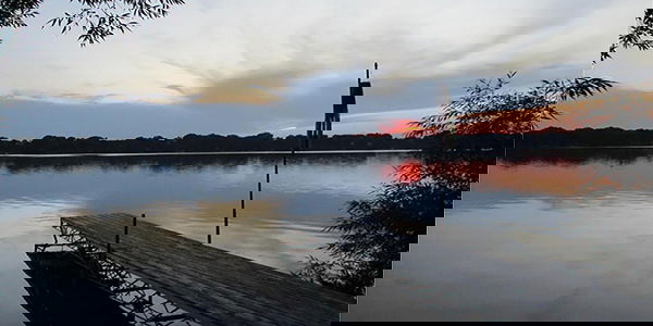 GOLDEN TICKET CINEMAS | WILLMAR, MN - MOVIE SHOWTIMES